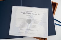 Hand-signed certificate of authenticity, edition number 766 of 2002