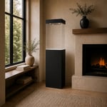 Black satin laminate display case pedestal with acrylic enclosure and integrated down lighting in a contemporary living room